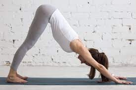 Downward Dog